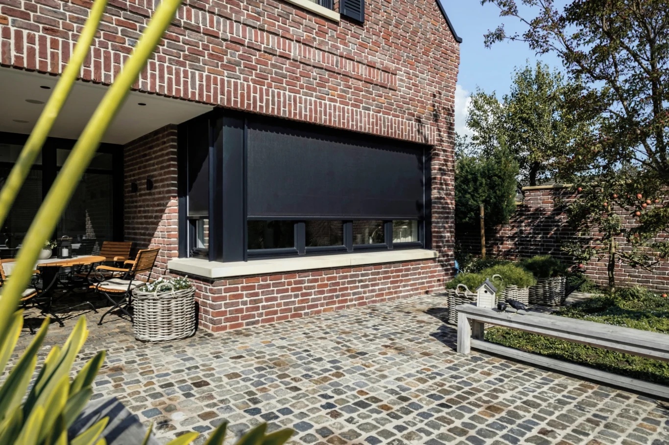 Warema Fenstermarkise im Detail